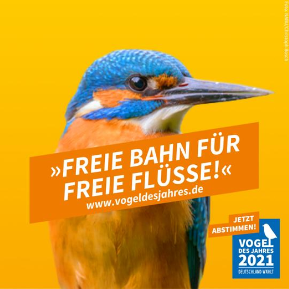 Unsere NAJU-Gruppe Unsere NAJU-Gruppe